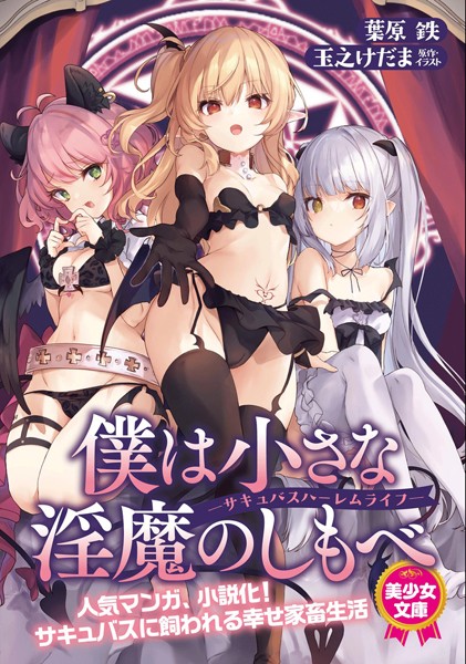 葉原鉄❤僕は小さな淫魔のしもべ ―サキュバスハーレムライフ―｜-ツンデレ