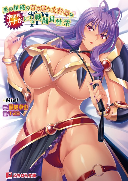 Miel❤悪の組織の行き遅れ女幹部を孕ませオナホにする戦闘員性活｜-女戦士