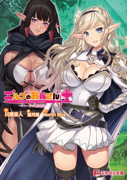 North Box❤エルフのお嫁さん 〜ハーレム婚推奨〜｜-ファンタジー