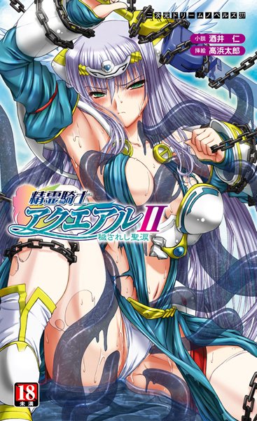 酒井仁❤精霊騎士アクエアルII 穢されし聖涙｜-辱め