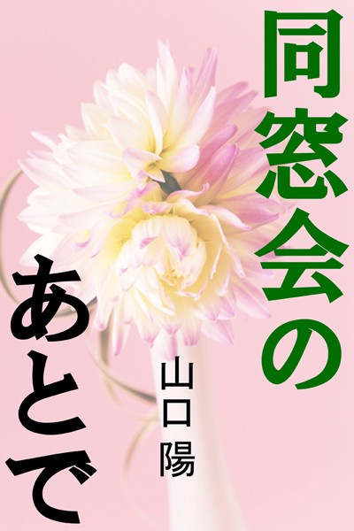 山口陽❤同窓会のあとで｜-